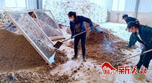 沃土富民路，生態(tài)高橋村 發(fā)展有機(jī)肥料產(chǎn)業(yè)，書寫鄉(xiāng)村振興新篇章